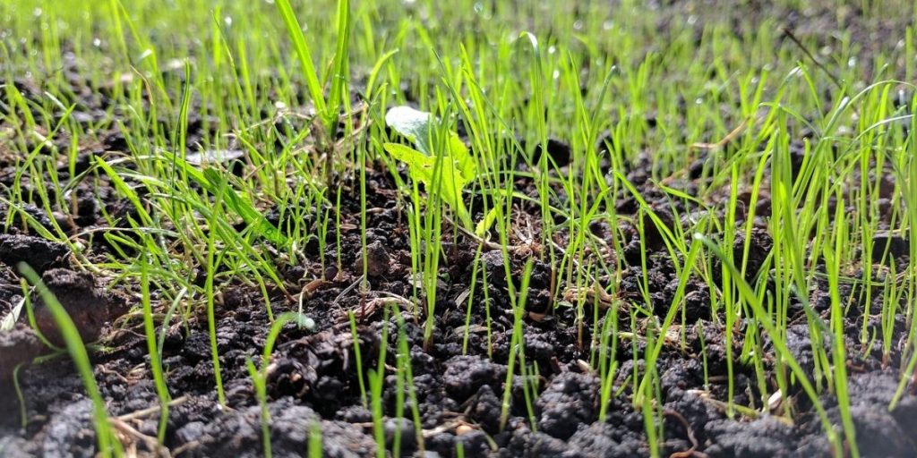 How to level a sloping garden